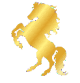 72hp Gold Male Enhancement